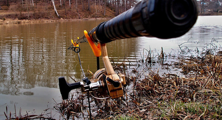 Differences Between A Feeder And A Carp Rod