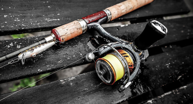 How To Choose A Spinning Reel (Complete Guide)