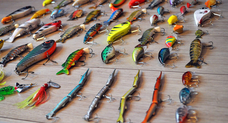 How To Choose Bait For Fishing