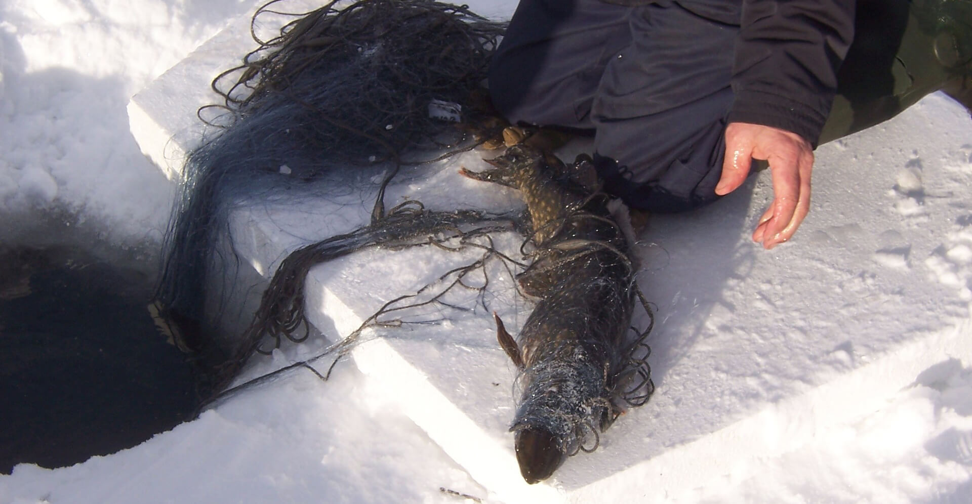 How-do-you-catch-pike-in-winter