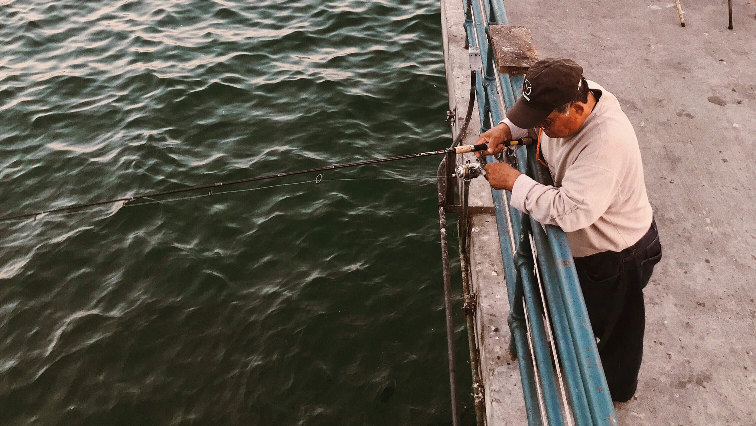 How To Fish For Wels Catfish