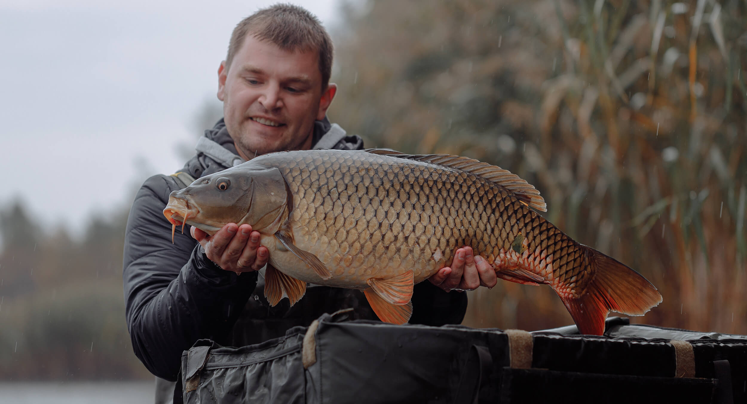 The-appearance-and-habits-of-carp