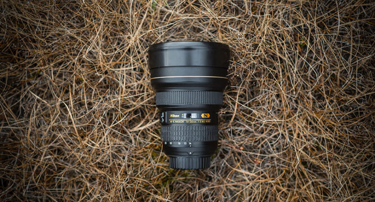 The 10 Best Nikon Lenses Reviewed 2022