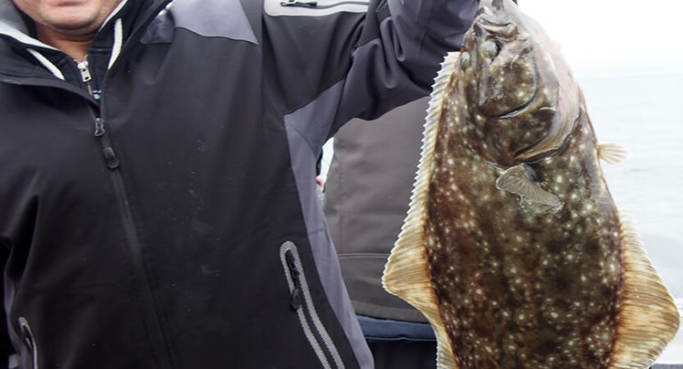 Halibut Fishing: Techniques, Bait and Gear