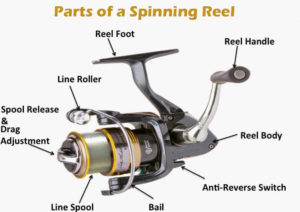 spinning reel parts