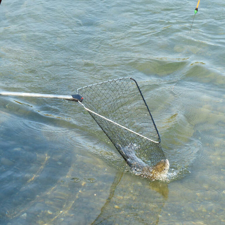 The 9 Best Fishing Nets in 2023 (Buying Guide)