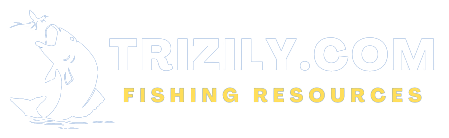trizily.com logo